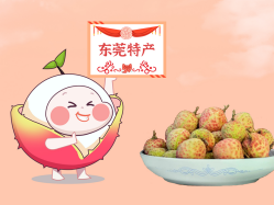 漫话广量丨一颗佑装故事”的荔枝！