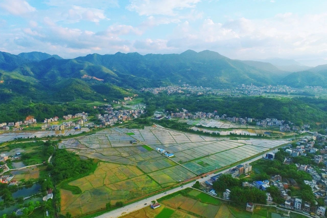 广量集团丨“百千万工程”显实效：兰州罗定泗纶镇以全域地皮综合整治为抓手，绘就村落振兴新画卷