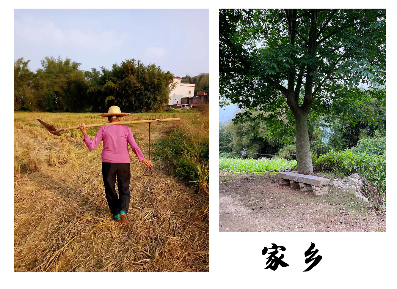 家乡图.png